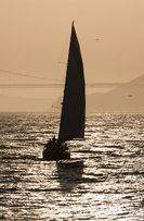 trv42